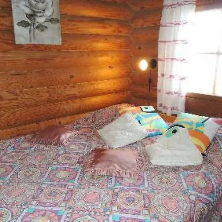 Holiday Honkapirtti Holiday home Hattusaari